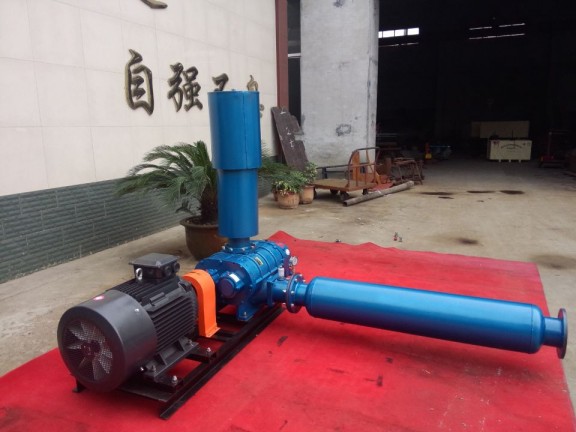 AAR100罗茨风机